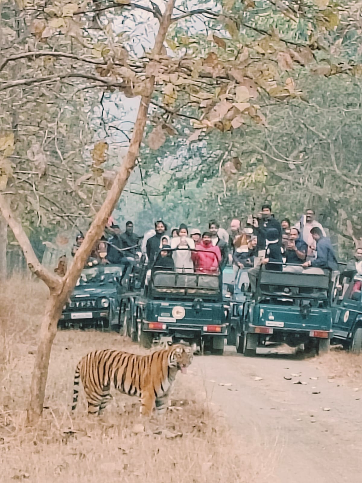 Trip to Tipeshwar Wildlife Sanctuary